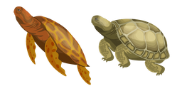 Turtle Cursor