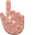 Copper Glitter Pointer